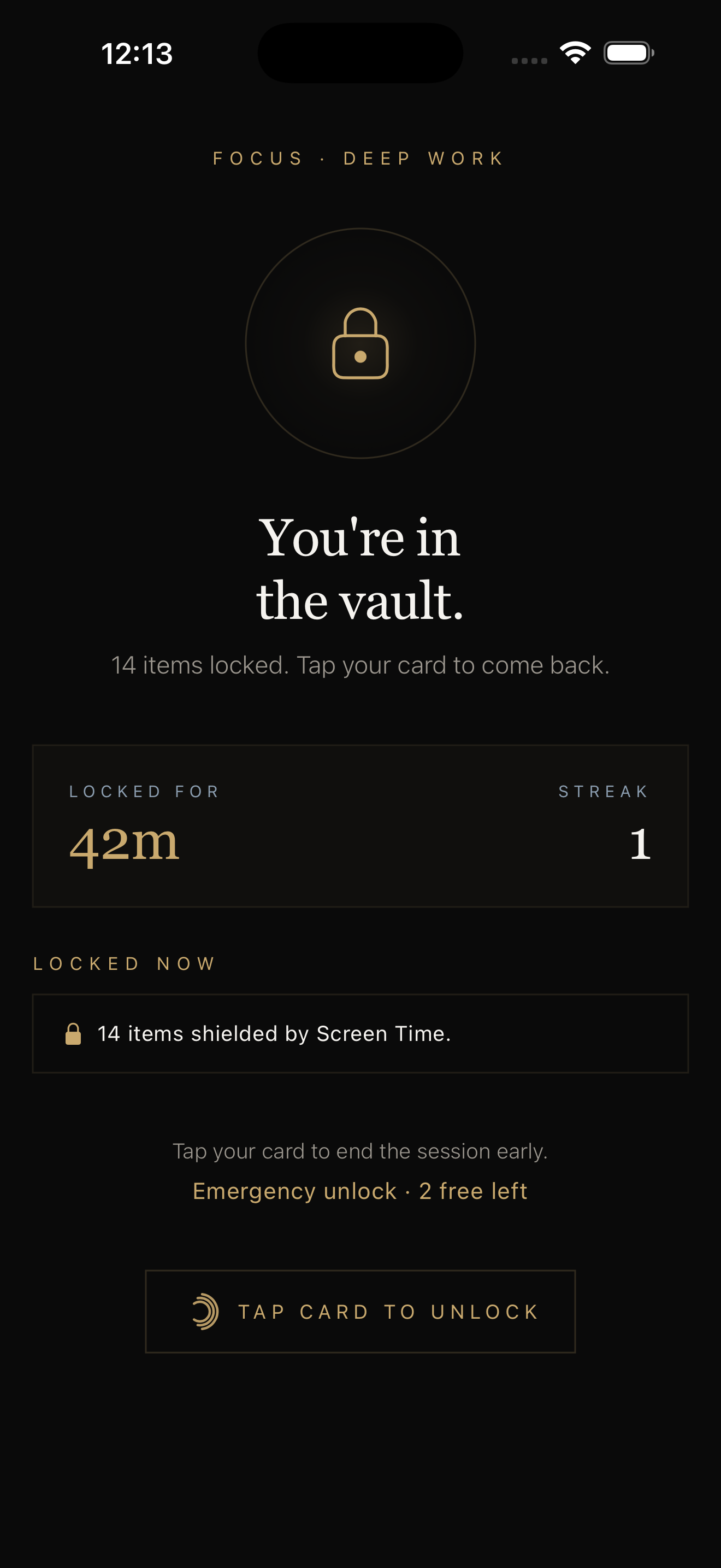 Locked state — distractions blocked